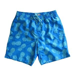 Old Navy Mens Pineapple Swim Trunks Medum Blue Turquoise Liner Pockets Vacation